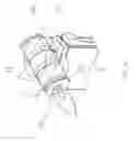 Fig. 06 - Piezoelectric lighter with pivot nozzle head