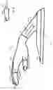 Fig. 02 - Manicure training device