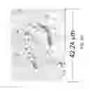 Fig. 08 - Cytological methods for detecting a disease condition such as malignancy by Raman spectroscopic imaging