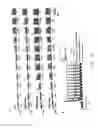 Fig. 37 - Ion channel assay methods