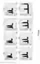 Fig. 41 - Ion channel assay methods