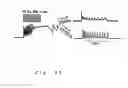 Fig. 45 - Ion channel assay methods