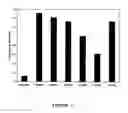 Fig. 02 - Antibody to the human OX40 receptor