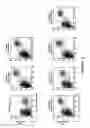 Fig. 03 - Antibody to the human OX40 receptor