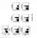 Fig. 04 - Antibody to the human OX40 receptor