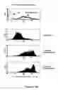 Fig. 08 - Antibody to the human OX40 receptor