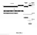 Fig. 02 - Purification of viruses, proteins and nucleic acids
