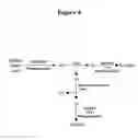 Fig. 04 - Purification of viruses, proteins and nucleic acids