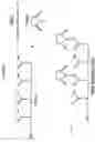 Fig. 03 - Substrate functionalization method for high sensitivity applications