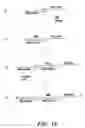 Fig. 13 - Method of performing reverse transcription reaction using reverse transcriptase encoded by non-LTR retrotransposable element