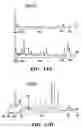 Fig. 15 - Method of performing reverse transcription reaction using reverse transcriptase encoded by non-LTR retrotransposable element