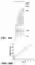 Fig. 17 - Method of performing reverse transcription reaction using reverse transcriptase encoded by non-LTR retrotransposable element
