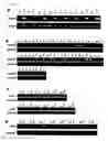 Fig. 05 - Method of diagnosing colon and gastric cancers
