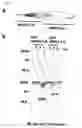 Fig. 09 - Method of diagnosing colon and gastric cancers