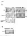 Fig. 10 - Method of diagnosing colon and gastric cancers