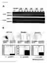 Fig. 14 - Method of diagnosing colon and gastric cancers