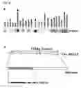 Fig. 19 - Method of diagnosing colon and gastric cancers