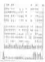 Fig. 22 - Identification of genes involved in angiogenesis, and development of an angiogenesis diagnostic chip to identify patients with impaired angiogenesis
