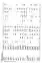 Fig. 24 - Identification of genes involved in angiogenesis, and development of an angiogenesis diagnostic chip to identify patients with impaired angiogenesis