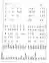 Fig. 27 - Identification of genes involved in angiogenesis, and development of an angiogenesis diagnostic chip to identify patients with impaired angiogenesis