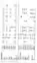 Fig. 28 - Identification of genes involved in angiogenesis, and development of an angiogenesis diagnostic chip to identify patients with impaired angiogenesis