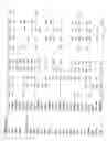 Fig. 29 - Identification of genes involved in angiogenesis, and development of an angiogenesis diagnostic chip to identify patients with impaired angiogenesis