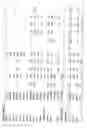Fig. 32 - Identification of genes involved in angiogenesis, and development of an angiogenesis diagnostic chip to identify patients with impaired angiogenesis