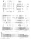 Fig. 40 - Identification of genes involved in angiogenesis, and development of an angiogenesis diagnostic chip to identify patients with impaired angiogenesis