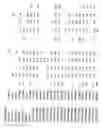 Fig. 41 - Identification of genes involved in angiogenesis, and development of an angiogenesis diagnostic chip to identify patients with impaired angiogenesis