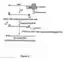 Fig. 03 - Methods for recovery of DNA from mRNA in ribosome display complexes