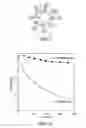 Fig. 02 - Titanium dioxide complex having molecule distinguishability