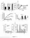 Fig. 04 - Capsid-modified adenovirus vectors and methods of using the same