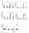 Fig. 09 - Capsid-modified adenovirus vectors and methods of using the same