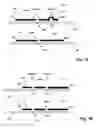 Fig. 02 - Method and kits for multiplex hybridization assays