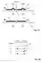 Fig. 03 - Method and kits for multiplex hybridization assays