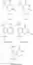 Fig. 09 - Thiotriphosphate nucleotide dye terminators