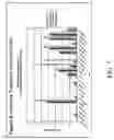 Fig. 08 - Compositions and methods for the analysis of degraded nucleic acids