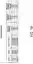 Fig. 16 - Compositions and methods for the analysis of degraded nucleic acids