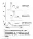 Fig. 06 - Methods to identify antimicrobial compounds that interrupt ribosome biogenesis