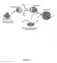 Fig. 13 - Methods to identify antimicrobial compounds that interrupt ribosome biogenesis