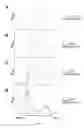 Fig. 14 - Methods to identify antimicrobial compounds that interrupt ribosome biogenesis