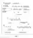 Fig. 02 - Accessible polynucleotide libraries and methods of use thereof