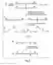 Fig. 04 - Accessible polynucleotide libraries and methods of use thereof