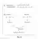 Fig. 11 - Accessible polynucleotide libraries and methods of use thereof