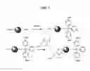 Fig. 08 - Controlled alignment of nano-barcodes encoding specific information for scanning probe microscopy (SPM)