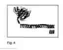 Fig. 05 - Computing with biomolecules