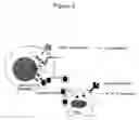 Fig. 03 - Compositions and methods using lentivirus-based vectors for generating immune responses