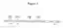 Fig. 04 - Compositions and methods using lentivirus-based vectors for generating immune responses