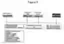 Fig. 05 - Compositions and methods using lentivirus-based vectors for generating immune responses