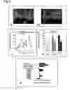 Fig. 07 - Metod of modulation of interaction between receptor and ligand